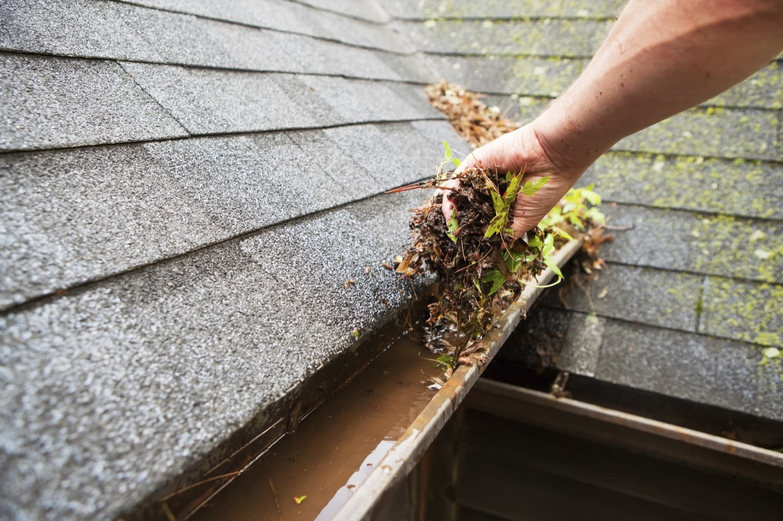 Gutter Repair